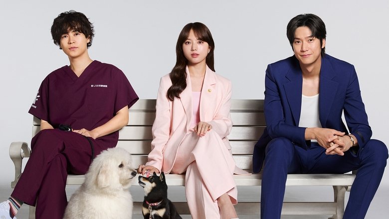 跨国三角恋：初恋DOGs里的爱与信任探索